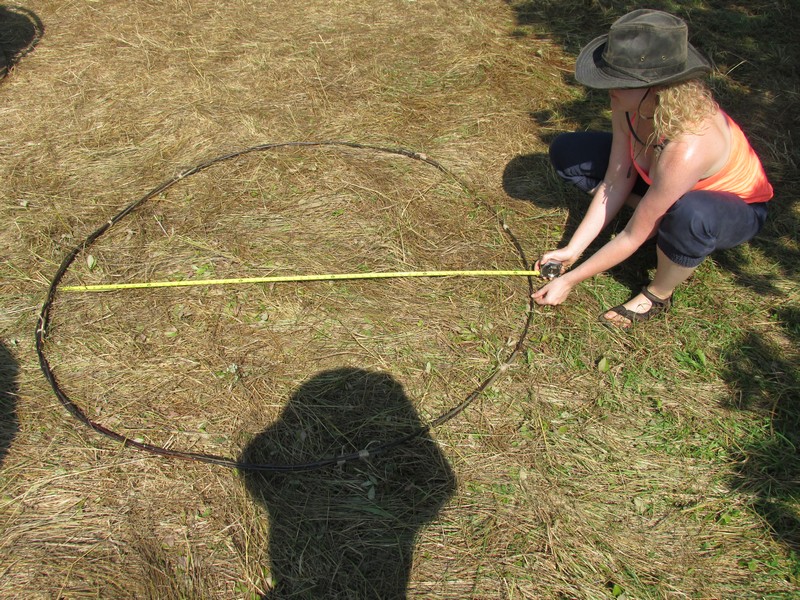 File:Weaving Parabolic Willow Basket - Measuring the 4 ft Hoop.jpeg