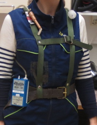 File:Old custom harness.png