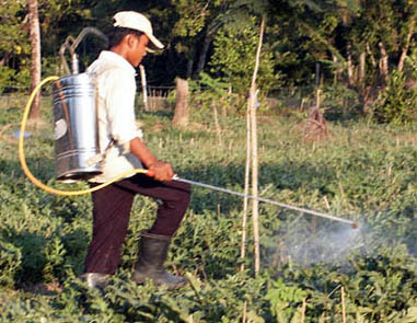 File:Potawot pesticide spray.jpg