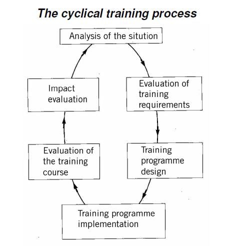 The Cyclical Training Process.jpg