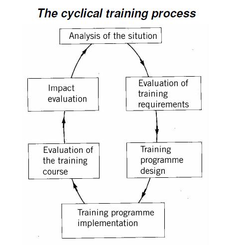 File:The Cyclical Training Process.jpg