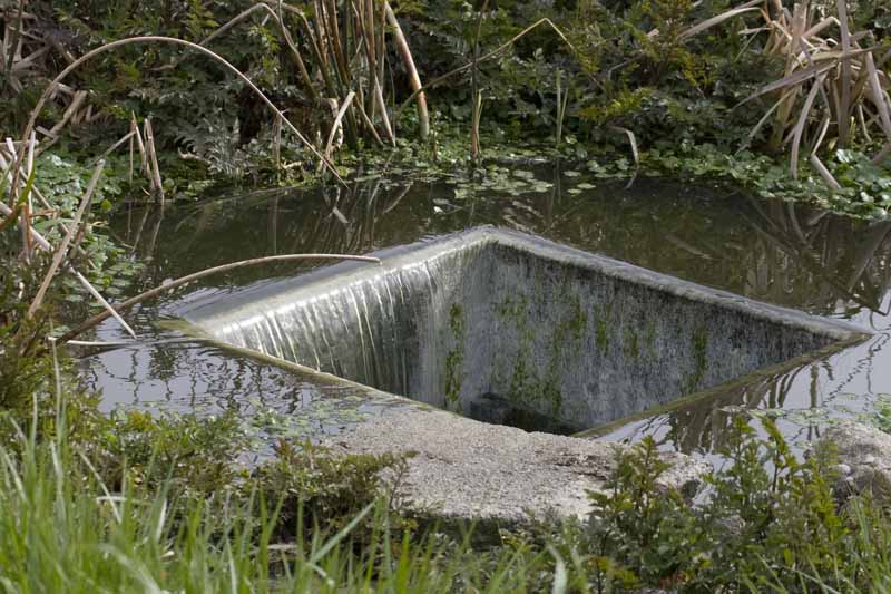 Index of /w/images/d/d2