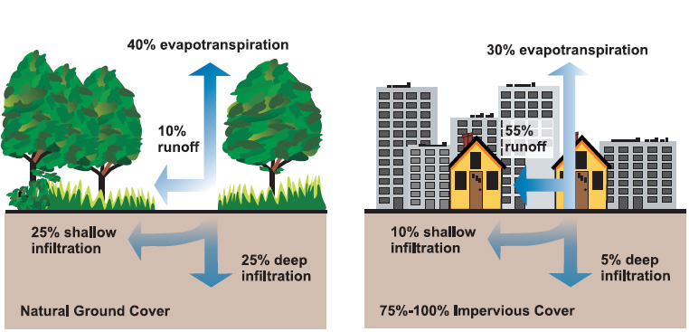 Impact of Urbanization