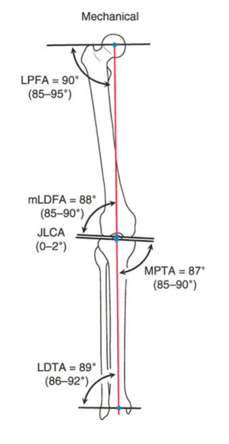 Fig. 5a