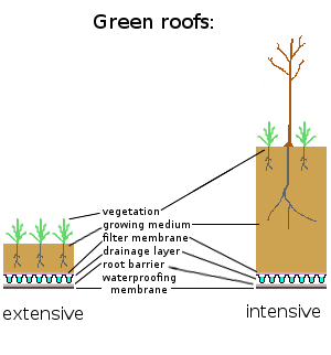 File:Intensive extensive green roofs.png