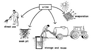 File:Reusefaeces&urine2.jpg