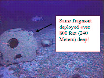 File:Repairing damaged reefs terminology image 29.jpg