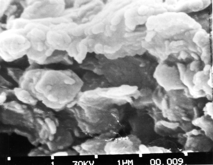 File:Clay magnified.jpg