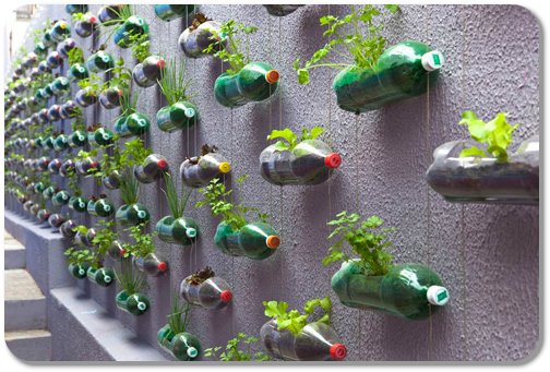 File:Create-the-Most-Eye-Cathing-Herb-Garden-Ever-Made.jpg