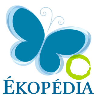 File:Ekopedia-logo.png