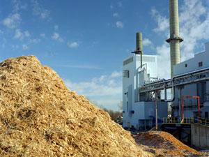 File:Biomass.jpg