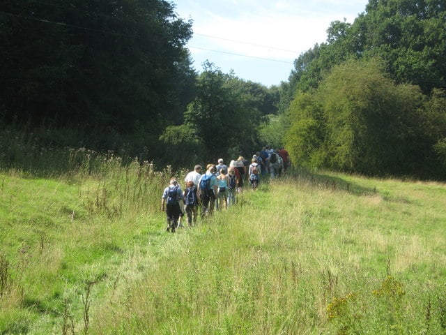 File:Herd of ramblers on a footpath to Whitley - geograph.org.uk.jpg