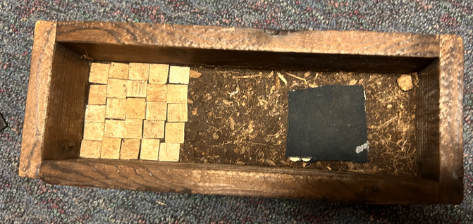 Our first prototype was to test how our current design would work. We used wood to simulate the tiles.