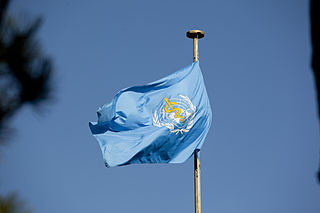 File:World Health Organization Flag.jpg