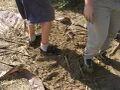Thumbnail for version as of 04:14, 7 May 2007