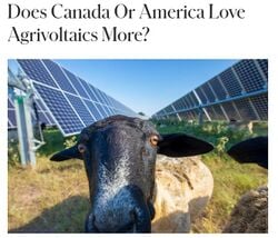 Does Canada Or America Love Agrivoltaics More?