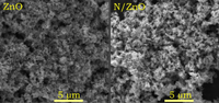 Antibacterial and anticancer activity of hydrothermally-synthesized zinc oxide nanomaterials using natural extracts of neem, pepper and turmeric as solvent media