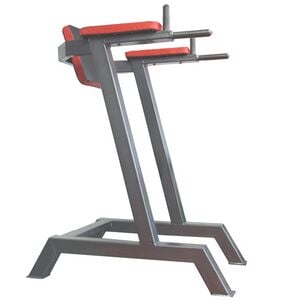 330px-OSGym_Dip.jpg