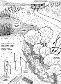 Thumbnail for version as of 01:24, 6 January 2007