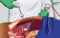Thumbnail for version as of 20:20, 26 January 2024