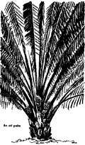 Thumbnail for version as of 01:25, 6 January 2007