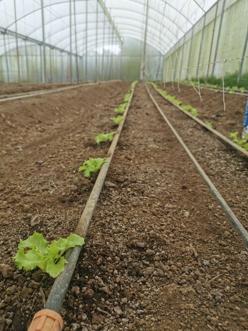 File:ECOFINCA2.jpg
