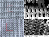 Polymer-derived SiOC Replica of Material Extrusion-based 3-D Printed Plastics