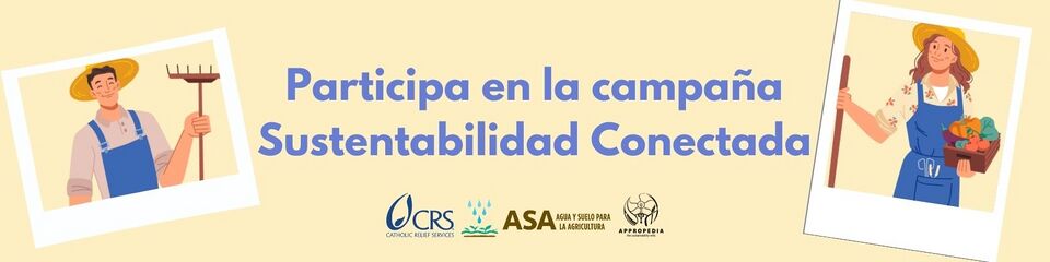 File:Sustentabilidad Conectada 2024.jpg