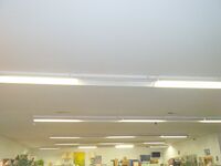 Figure 4. New fixtures were installed throughout the facility (photo by Sabre Ethridge)