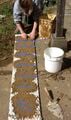 Fig 7: Morgan tests 7 earthen plasters