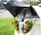 Poly Pod Doors, windows, and planters made from ironed plastic bags and bubble-wrap, with umbrella awnings