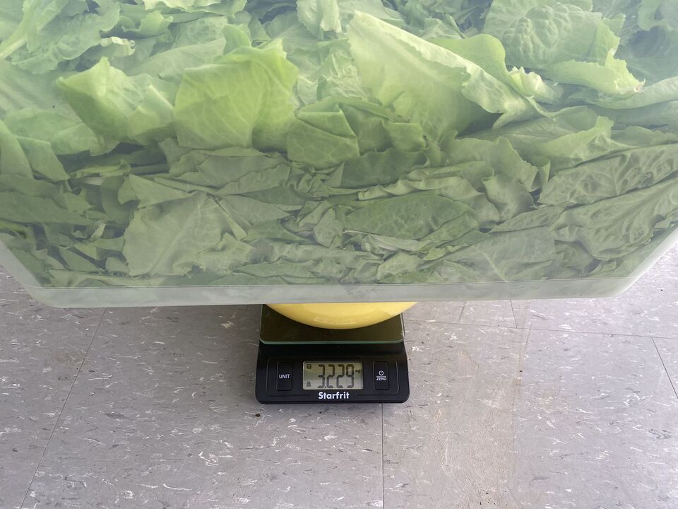 File:Example 2.jpg