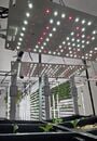 Maintaining the Agrivoltaic Agrotunnel - Project planning, data acquisition, team leading.