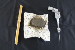 Basic Bone Drilling Simulator bamboo variant