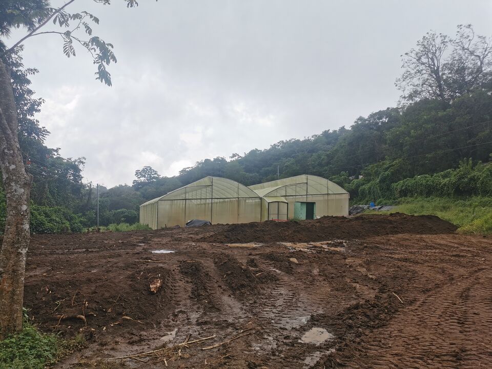 File:ECOFINCA1.jpg