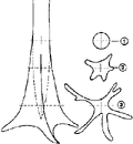 Thumbnail for version as of 01:26, 6 January 2007