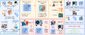 Thumbnail for version as of 15:01, 24 June 2025