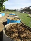 Figure 10 Planters (Photo by: K. Vincent)