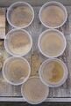 Figure 11a: Soak Test