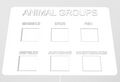 Animal Groups Matching,