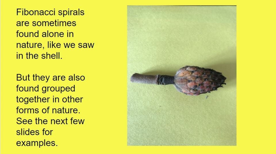File:Slide 33.jpg