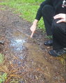 Water leaking under the path where the hose had accidentally been broken