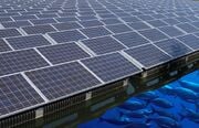 Aquavoltaics: Synergies for dual use of water area for solar photovoltaic electricity generation and aquaculture