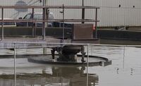 250px-Arcata-6970-2.jpg