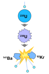 A diagram of a uranium-235 fission reaction. The fission results in two separate atoms, barium-141 and krypton-92, as well as releases 2-3 neutrons and beta radiation.