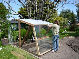 ArcataBattlesGreenhouse 2.jpg