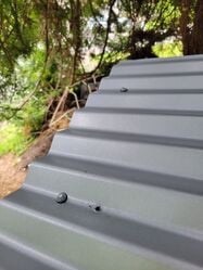 Corrugated metal roof panel with 1inch self drilling screws (with rubber washer). We used 10 total panels, 5 10'x3' and 5 8'x3'. This image also shows the South West corner where a metal screw was screw in but taken out due to not conntecting to the wood beam benath it, this may need to be fixed or covered in the future.