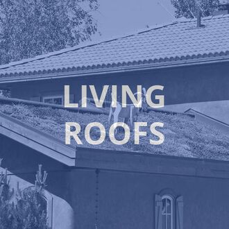 Living-roof-transparent-2.jpg