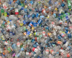 Plastic-water-bottles.jpg