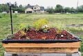 Bayside Park Farm living roof garden roof to Bayside's new animal hutch